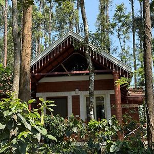 Coffee Grove Resort